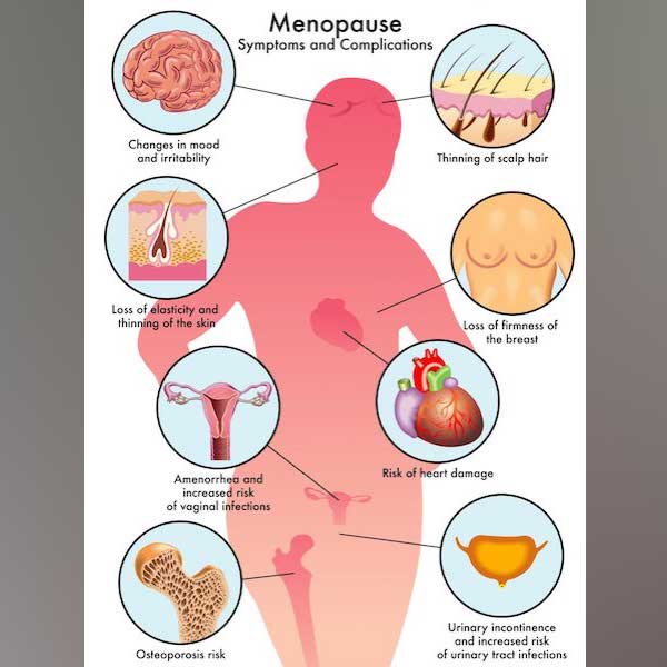 Menopause Support
